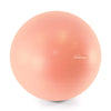 65cm Exercise Ball with Pump